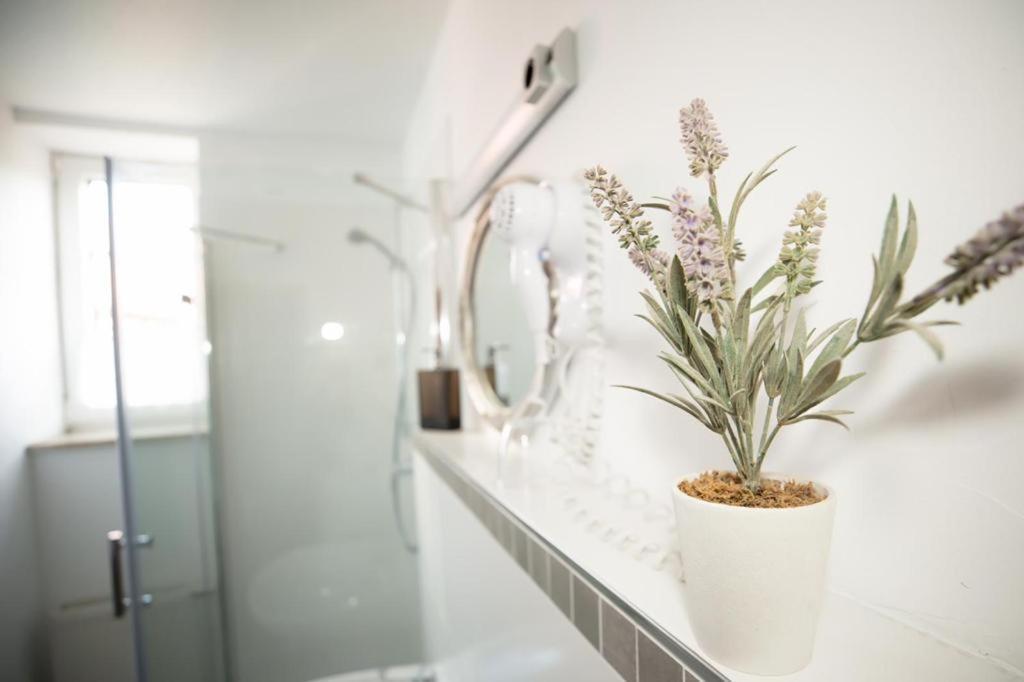Hotel Weisse Muehle Breitenworbis エクステリア 写真