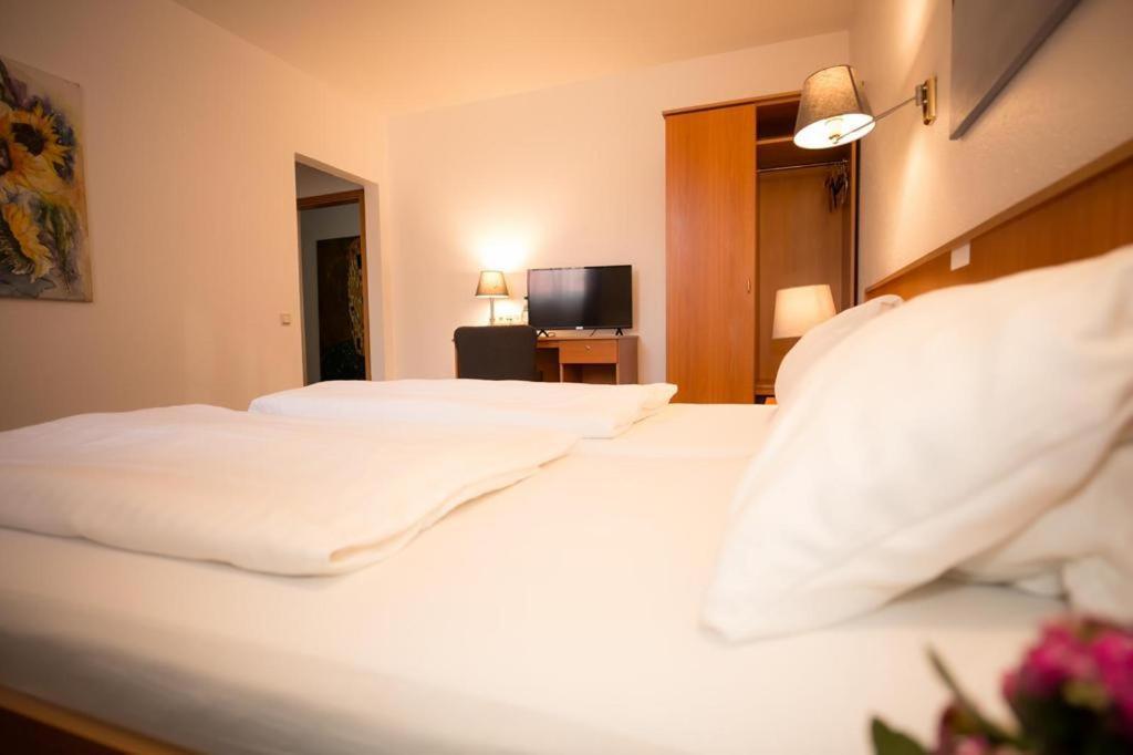 Hotel Weisse Muehle Breitenworbis エクステリア 写真