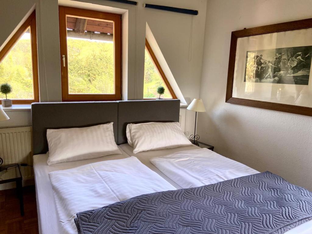 Hotel Weisse Muehle Breitenworbis エクステリア 写真
